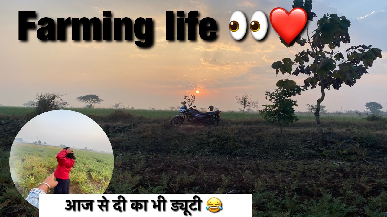 Aaj se didi ka bhi duty laga diya 😆आज से दीदी का काम ठण्ड में मर 😂#farming #kisani #farmingvideos 