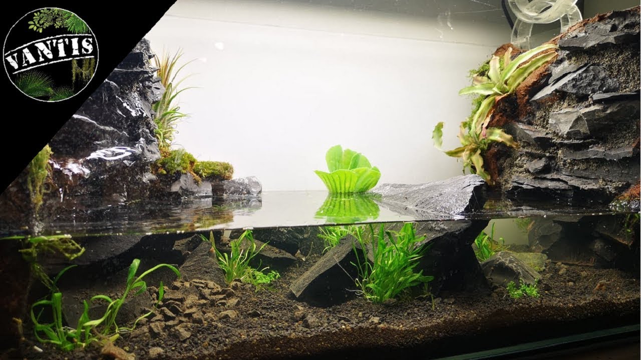 PALUDARIUM Z WODOSPADEM - Jak zrobić?