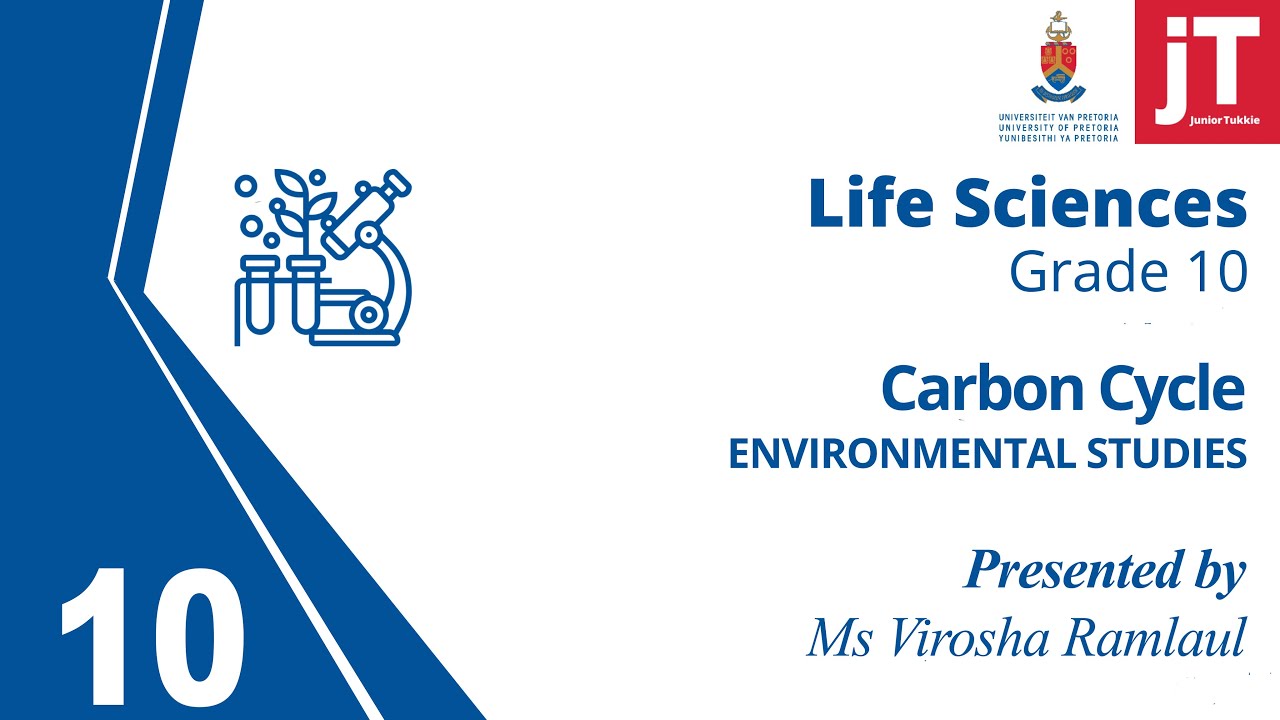 3. Gr 10 Life Sciences - Environmental Studies - Carbon Cycle