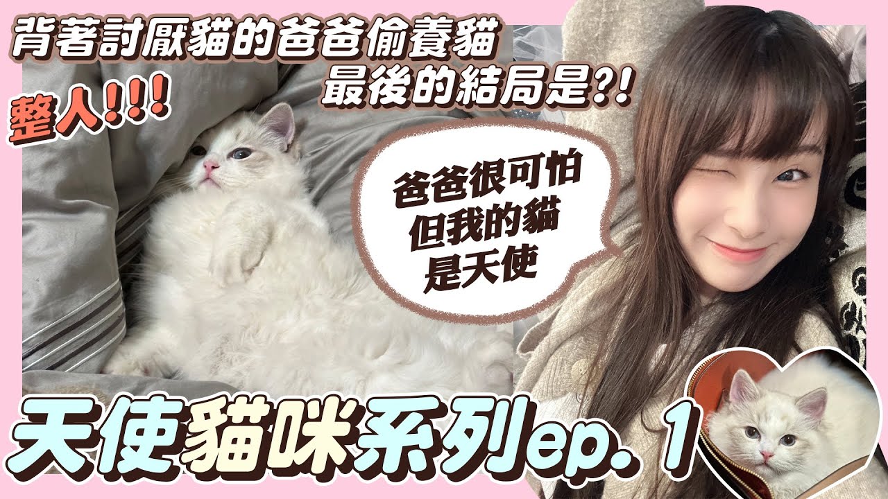 我養了隻布偶貓藏在房間！看看討厭貓的我爸對Mochi的第一反應～