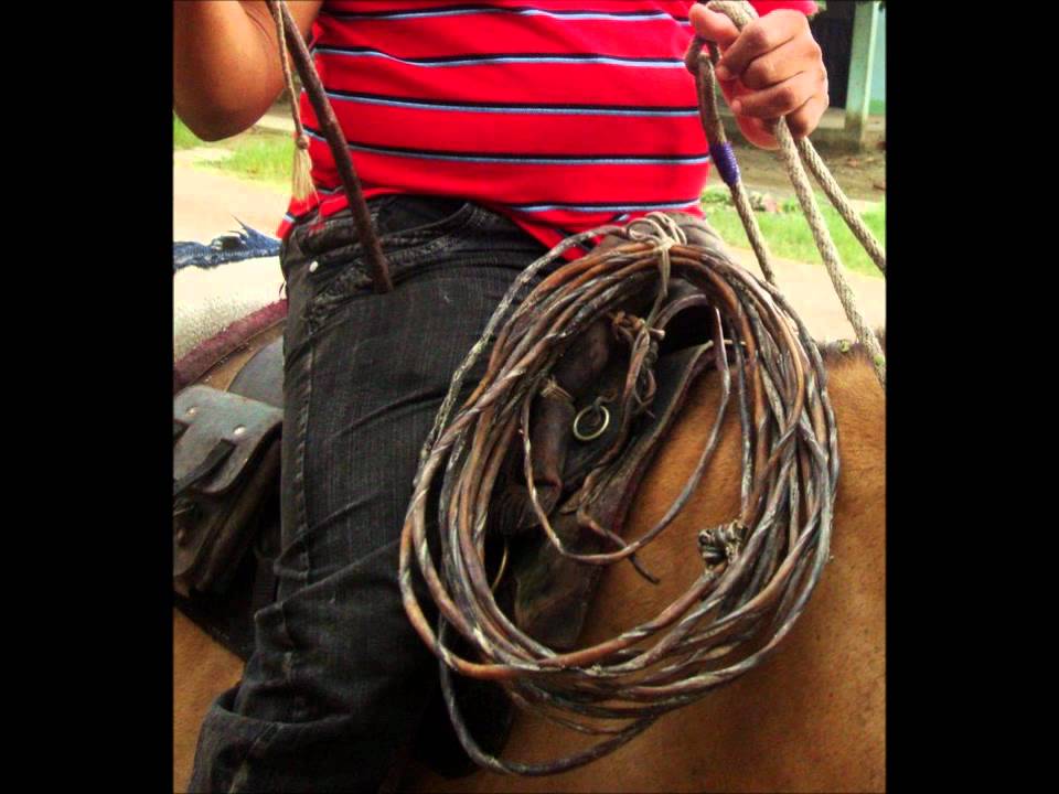 Orlando 'cholo' Valderrama MI SOGA.wmv