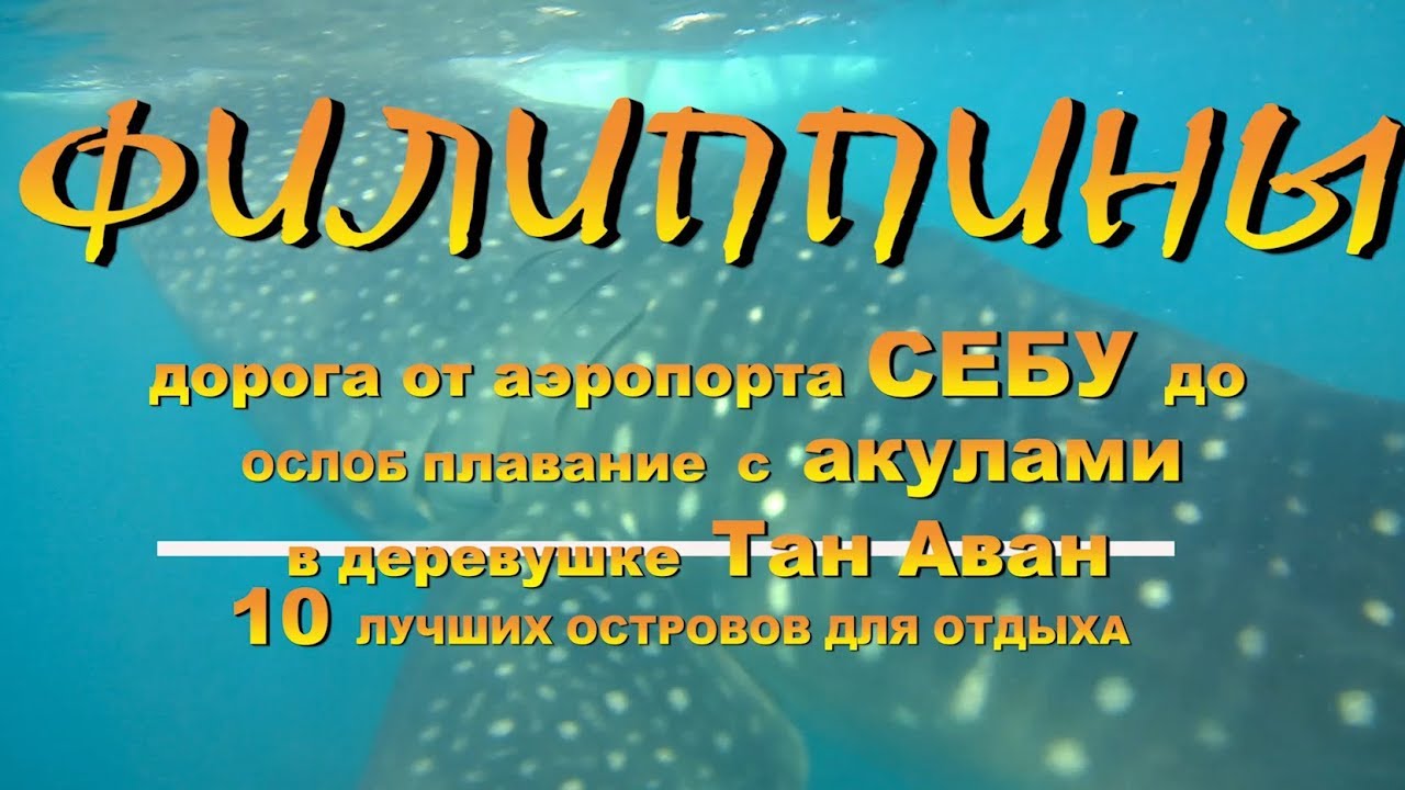Филиппины дорога от аэропорта Себу Cebu до Ослоб Oslob плавание с акулами в деревушке Тан Аван