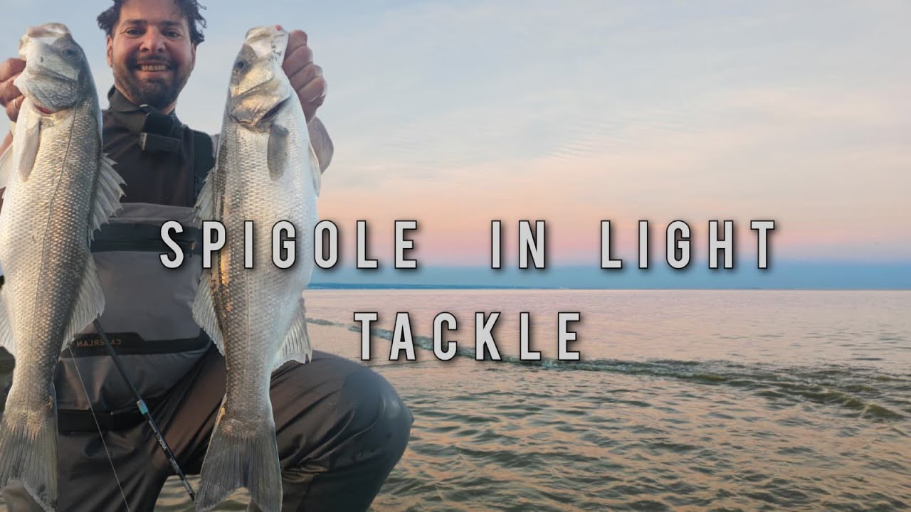 SPIGOLA - Questi ARTIFICIALI sono il TOP! -FISHING VIDEOS
