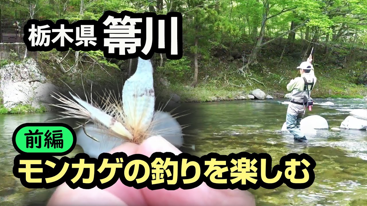 【前編】箒川でモンカゲの釣りを楽しむ