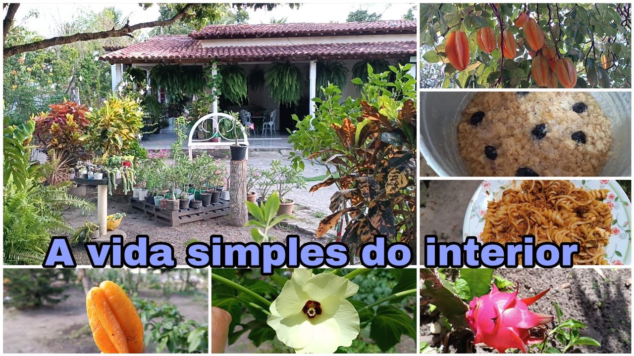 Terça feira de carnaval também é dia de cuidados com o lar e as plantas.