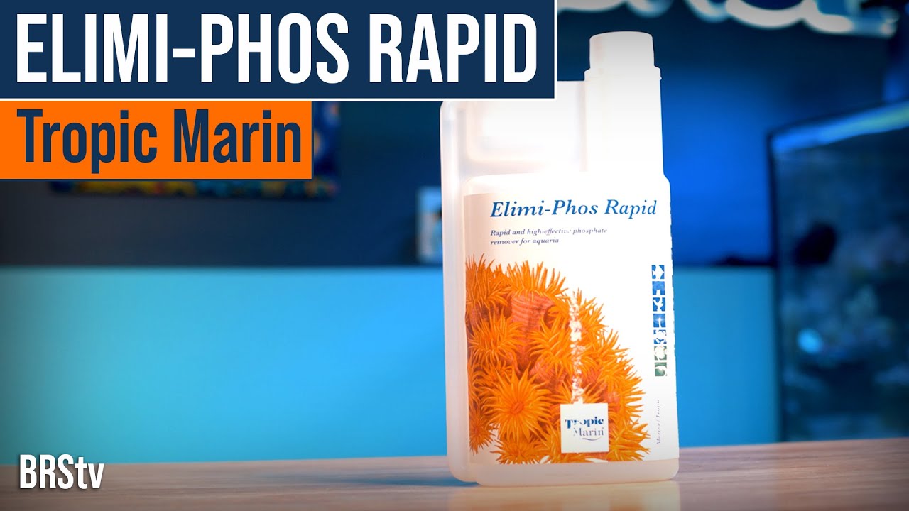 Возьмите под контроль фосфаты в рифовом аквариуме БЫСТРО! — Tropic Marin Elimi-Phos Rapid