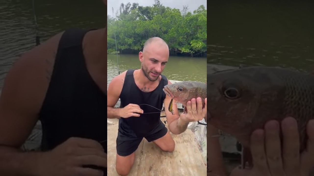 Mangrove Jack Catch & Cook -Manscaped Code:OST20 20% off
