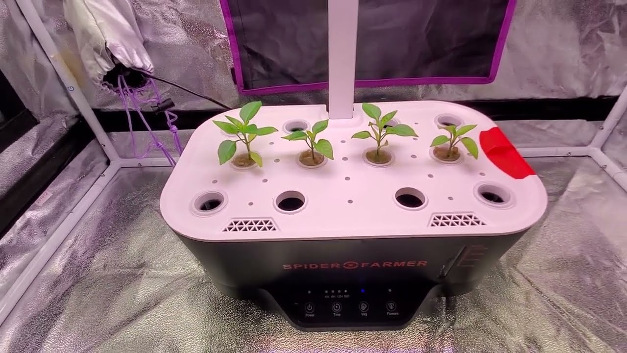 Moje pierwsze Hydro w życiu-SPIDER FARMER Hydroponics Growing System