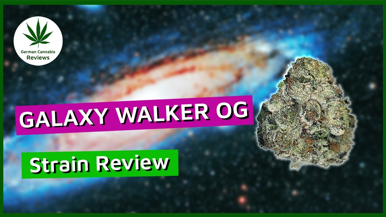 Tilray - Galaxy Walker OG - Strain Review