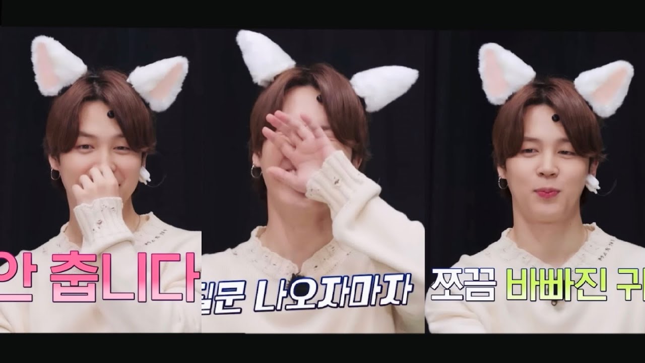 지민고양이 살랑살랑 귀움직이는 모음🐱💛