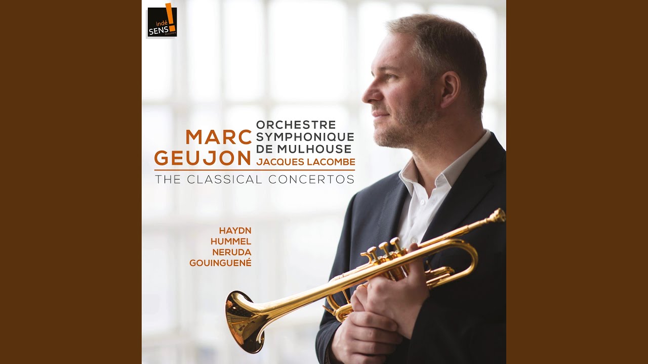 Trumpet Concerto in E Major, S. 49: No. 2, Andante