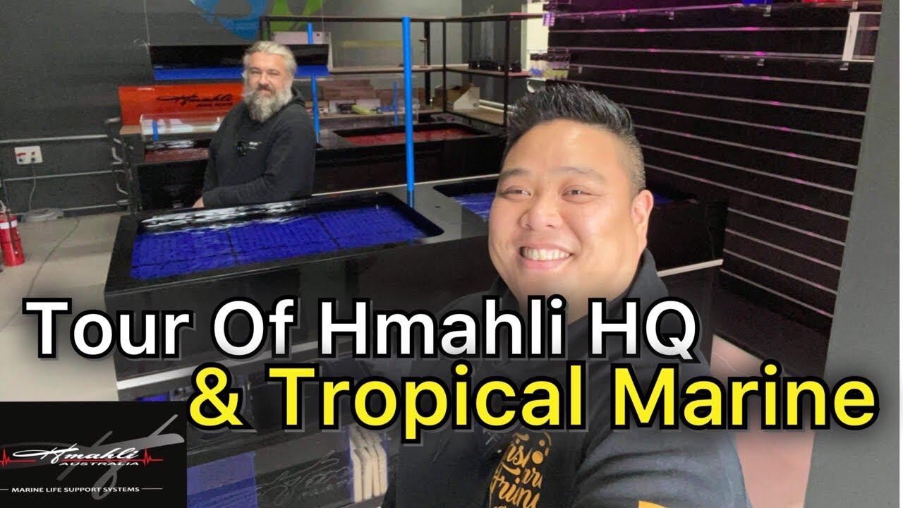 Tour of HMAHLI HQ and their NEW Retail store Tropical Marine Aquarium!