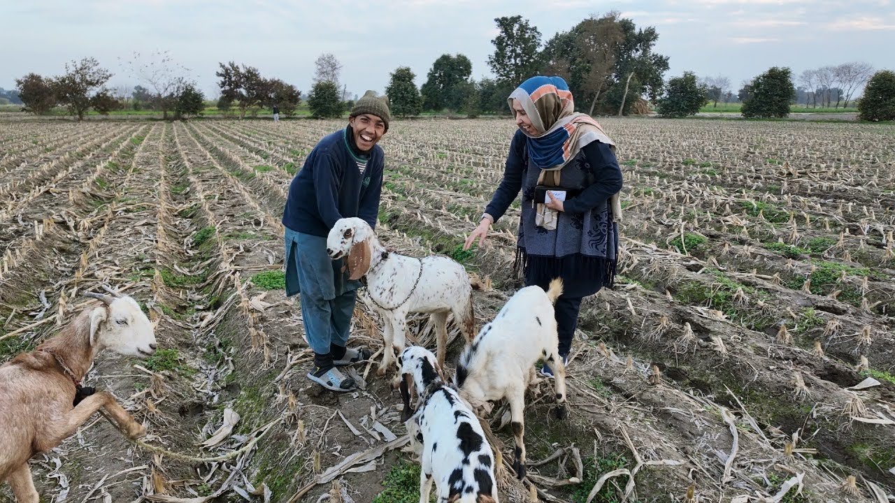 Как разделить множество моментов счастья