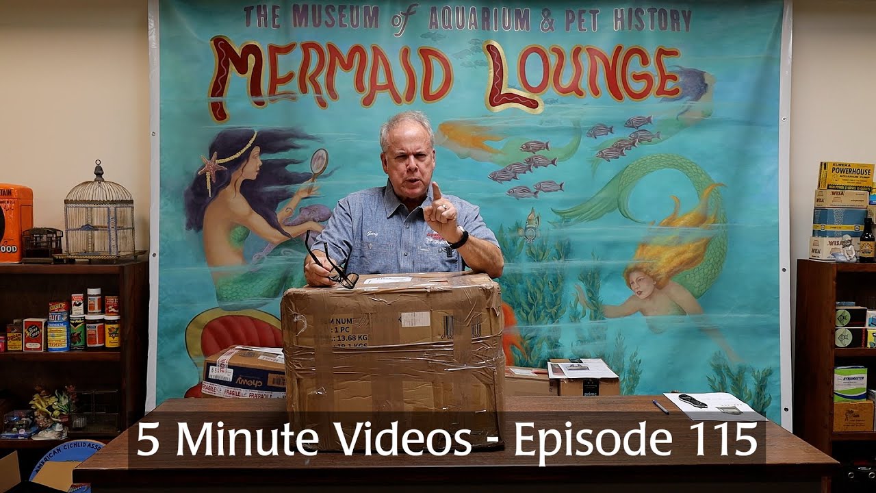 5 Minute Videos - Episode 115 - Unboxing Vintage Bird Items