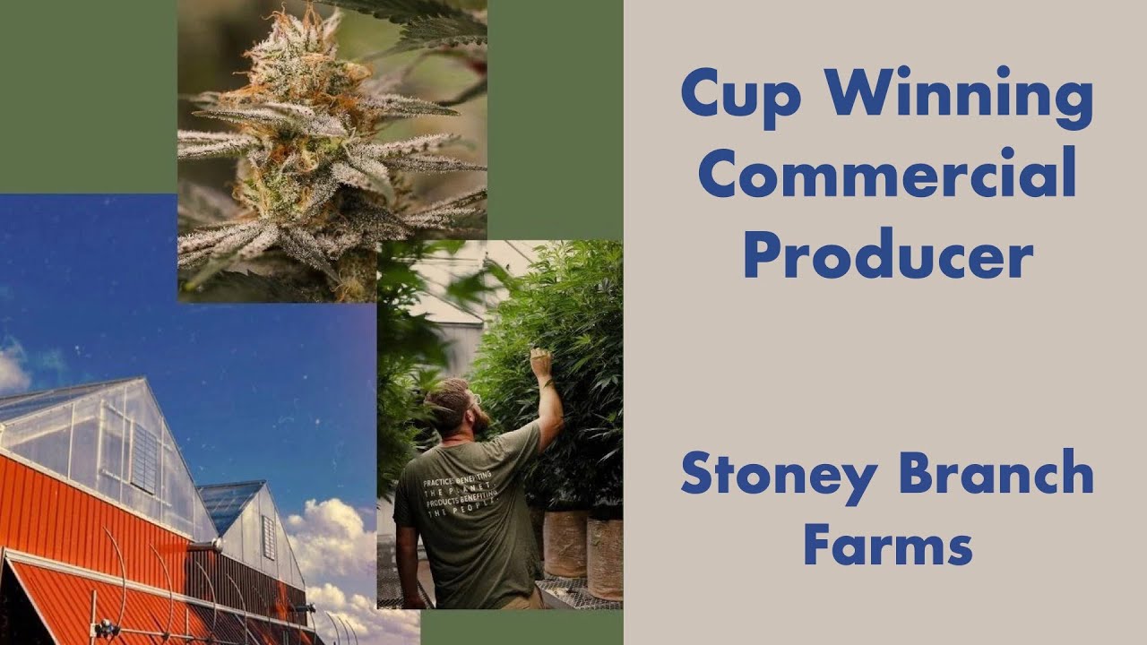 Interview with Justin of Stoney Branch Farms