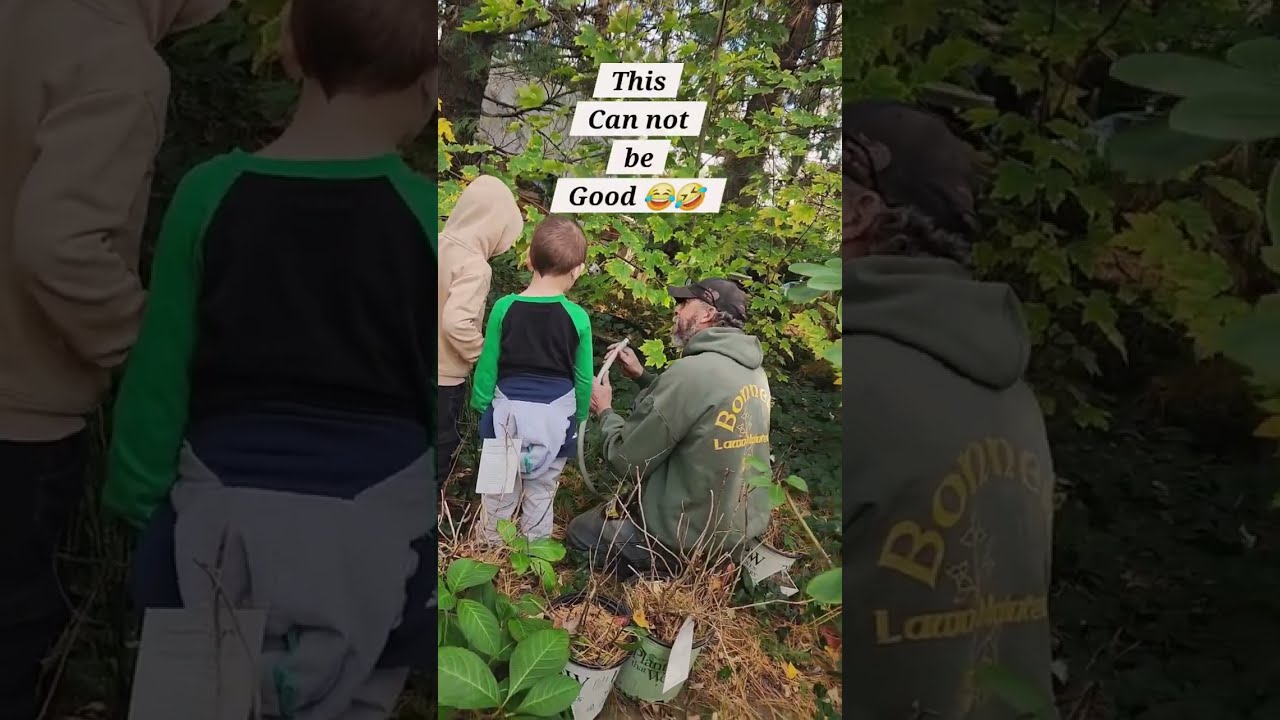 Урок от брата про пруд 