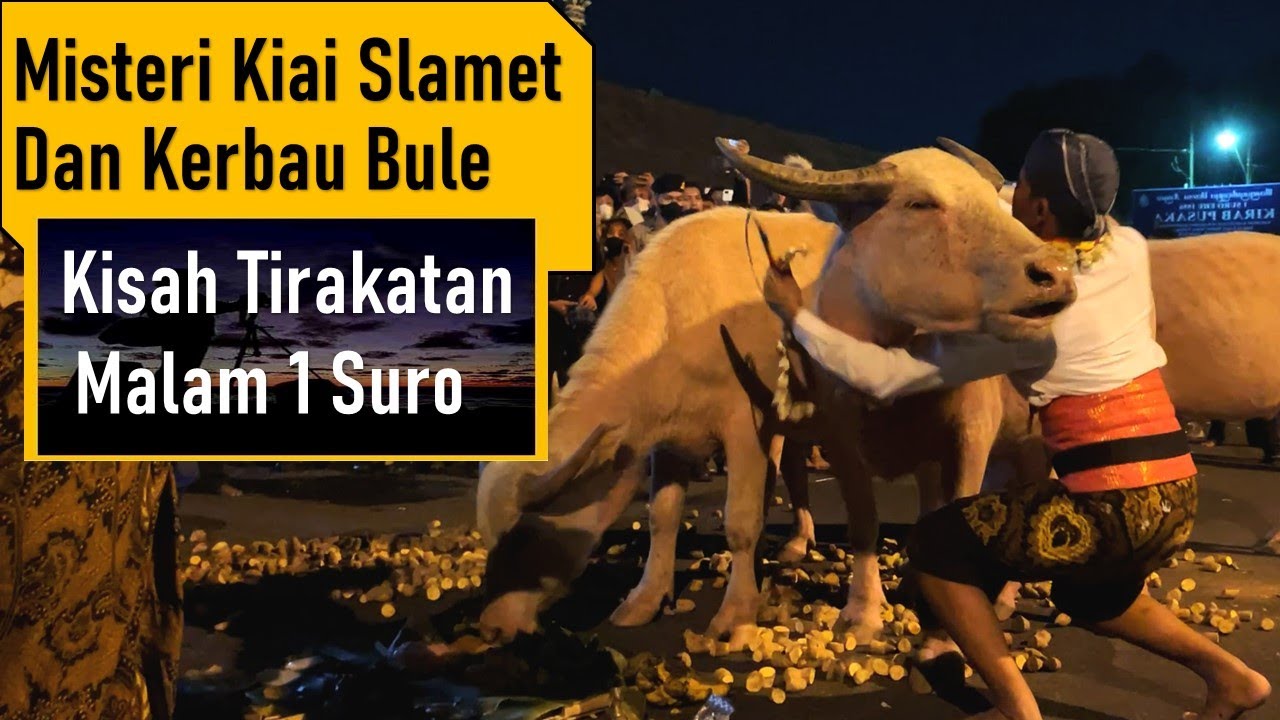 Misteri Kiai Slamet dan Kerbau Bule, Refleksi Malam 1 Suro