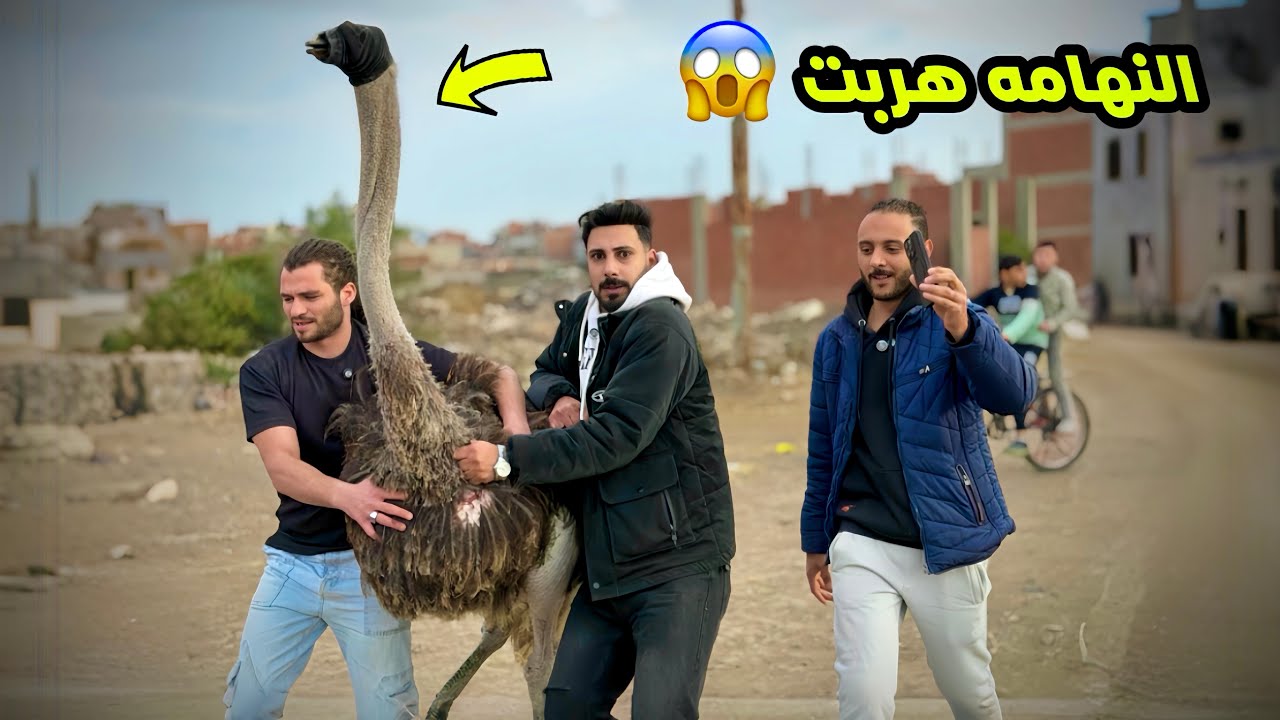 اخطر تجرّبه في حياتي نقل النعام من مكان لمكان😱