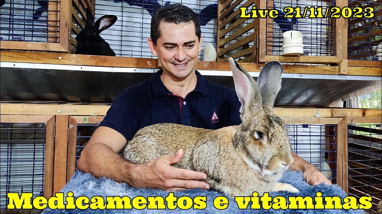 Quais os medicamentos e vitaminas são usados na Cunicultura?