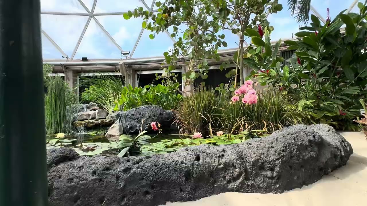 Live with the land and grow amazing crops #epcot 