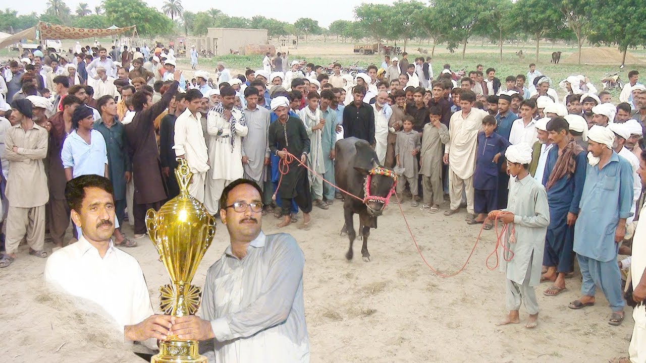 BESAKHI MAILA NEW KOT SULTAN  LAYYAH  2019  BAILON KI DORR part4