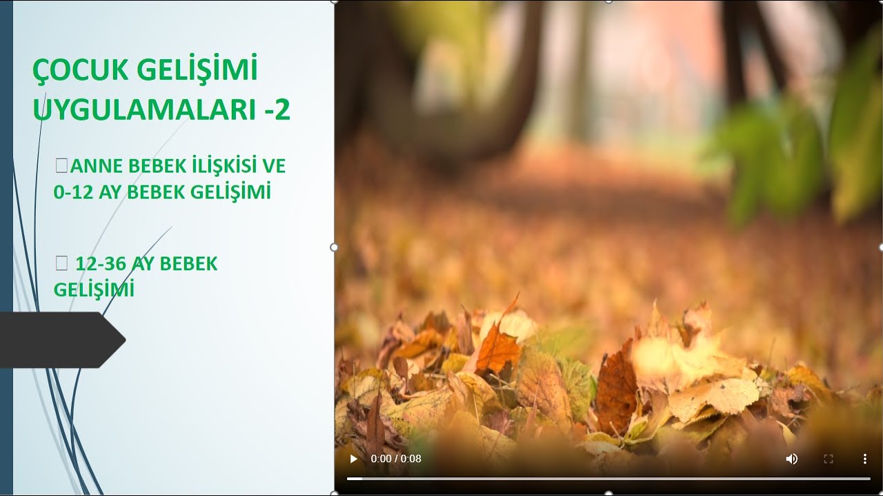AUZEF Çocuk Gelişimi (4.Sınıf) 2. Dönem Çocuk Gelişimi Uygulamaları -2 / 2. Ünite