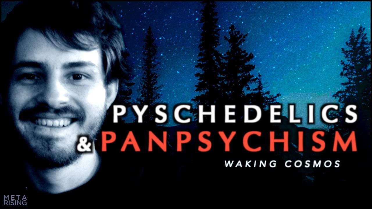 Consciousness, DMT, and Panpsychism | Andrés Gómez Emilsson