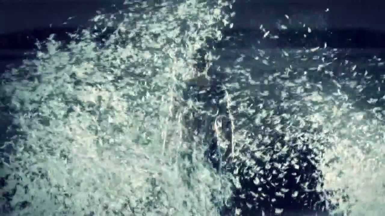 Benjamin Forgiven (Codex 21) - Lass mich falln (Official Video)