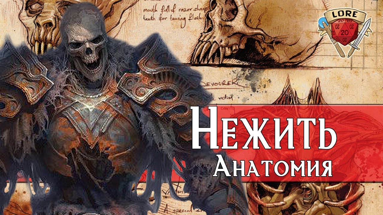 Всё о Нежити : Анатомия| Dungeons and Dragons Lore