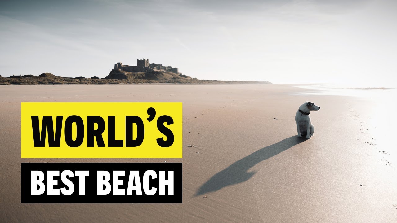 3 reasons why this might be the WORLD'S BEST beach