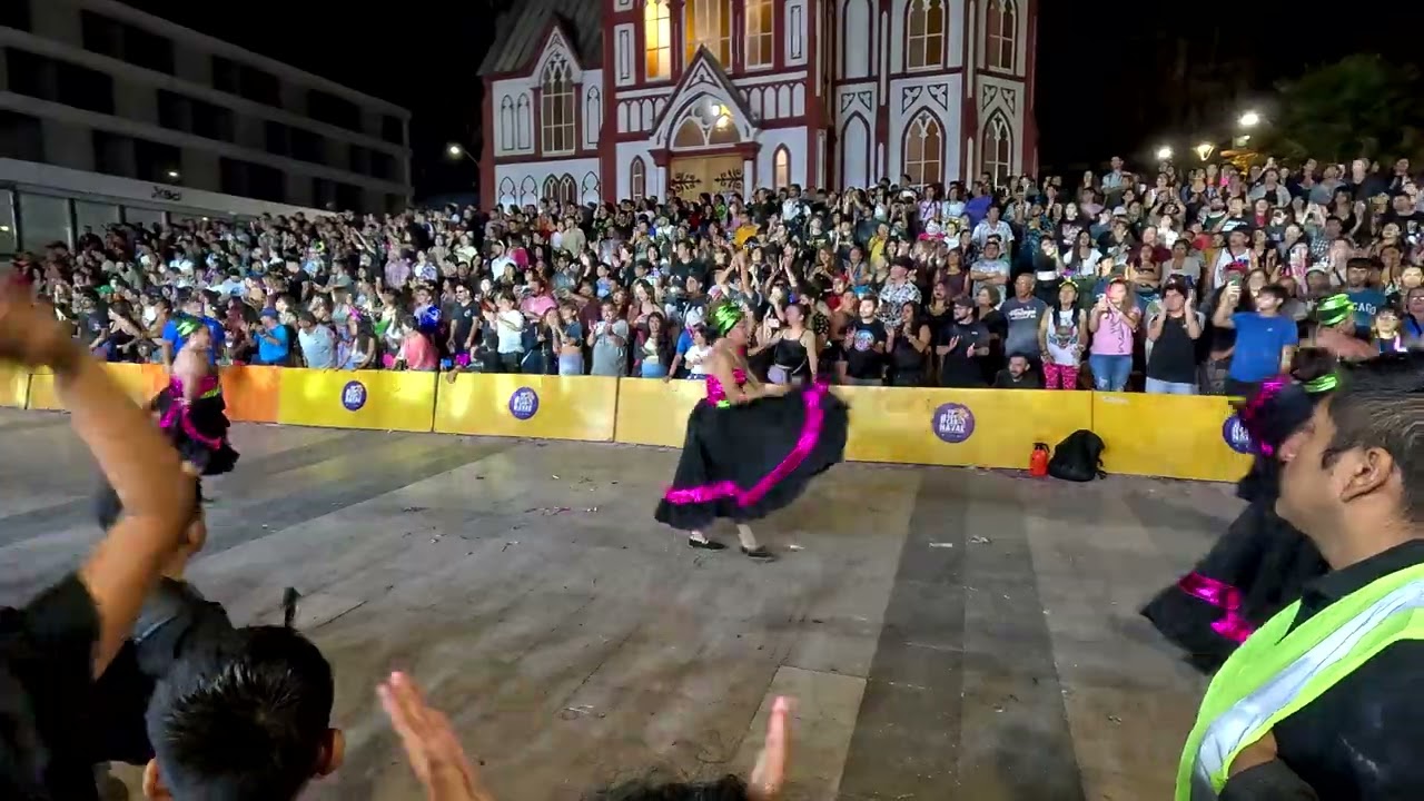 Arica Negro 2024