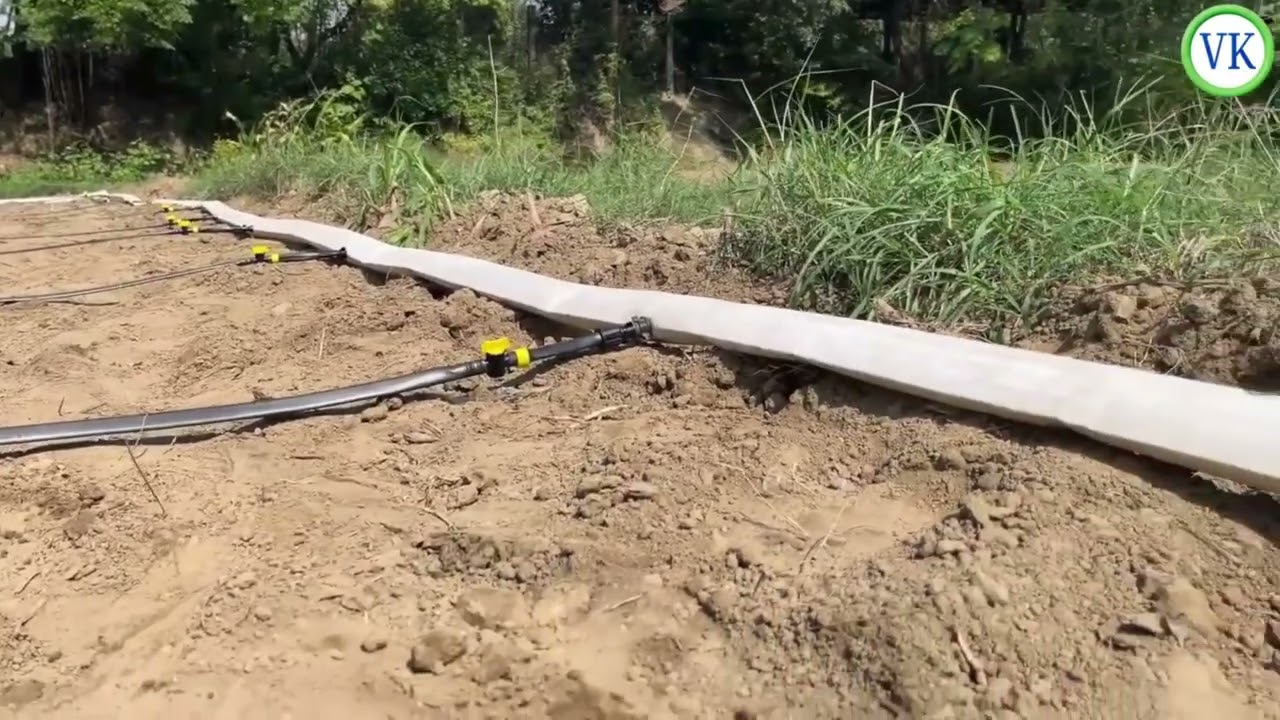 VK Drip Irrigation System कैसे लगाएं बिना PVC पाइप के | किसान के लिए जबरदस्त समाधान#dripirrigation