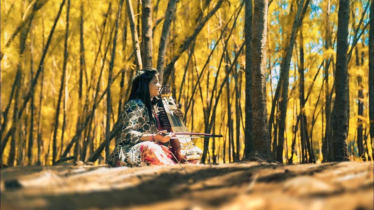RAY OF SUNSHINE - A SARANGI INSTRUMENTAL