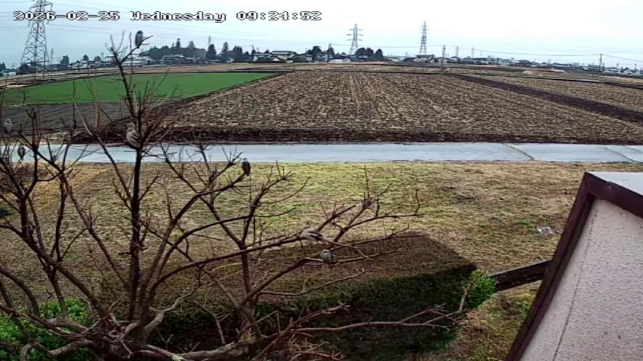 長野県安曇野市ライブカメラ「Nagano Azumino Live camera.world cam.