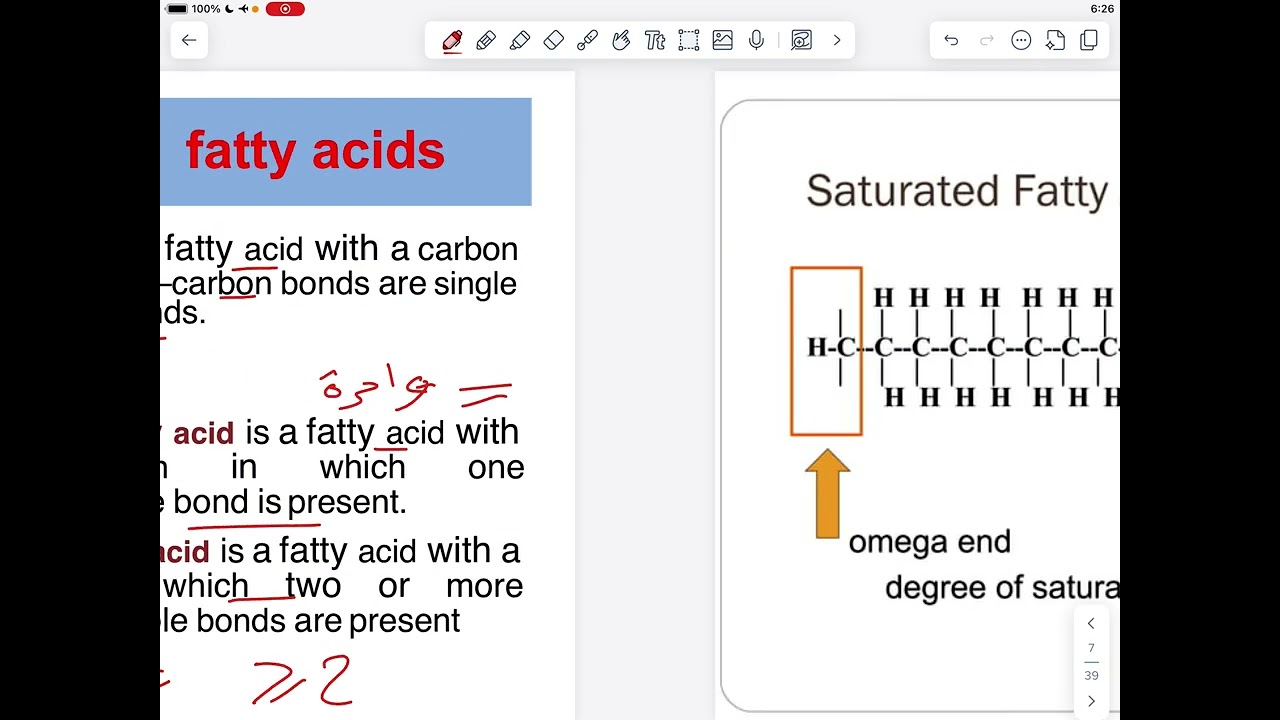 مادة الكيمياء الحياتية طب العميد Lipids G1S1 Biochemistry ameed