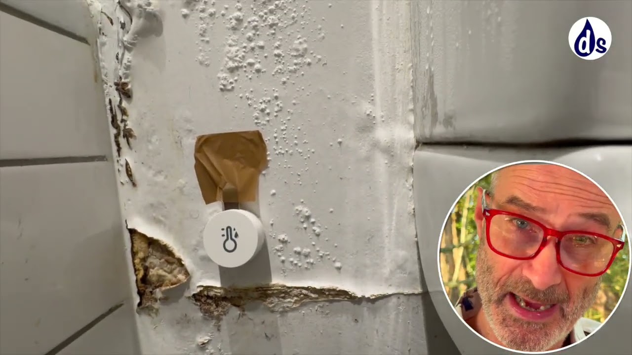 🎵 Why Your Bathroom Paint Bubbles: The Hidden Science of Relative Humidity Explained