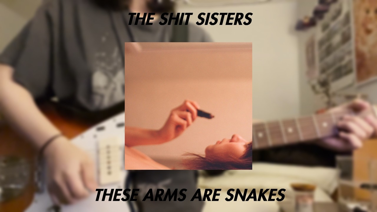 the shit sisters - these arms are snakes (guitar cover)
