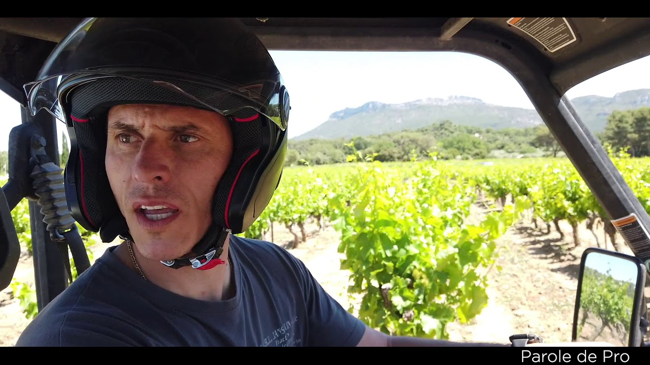 Parole de Pro - Viticulture Rosé