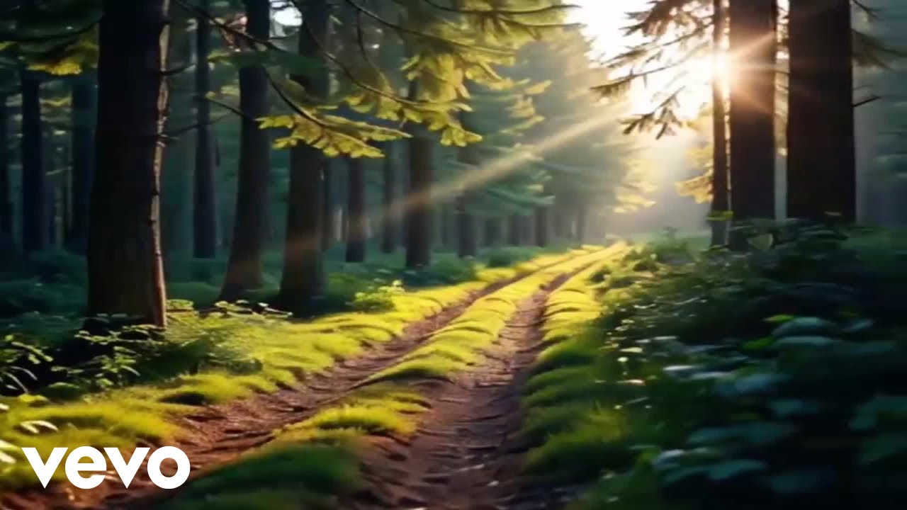 Fleeting Shadows - Canopy sunprints and soft footsteps (Official Music Video)