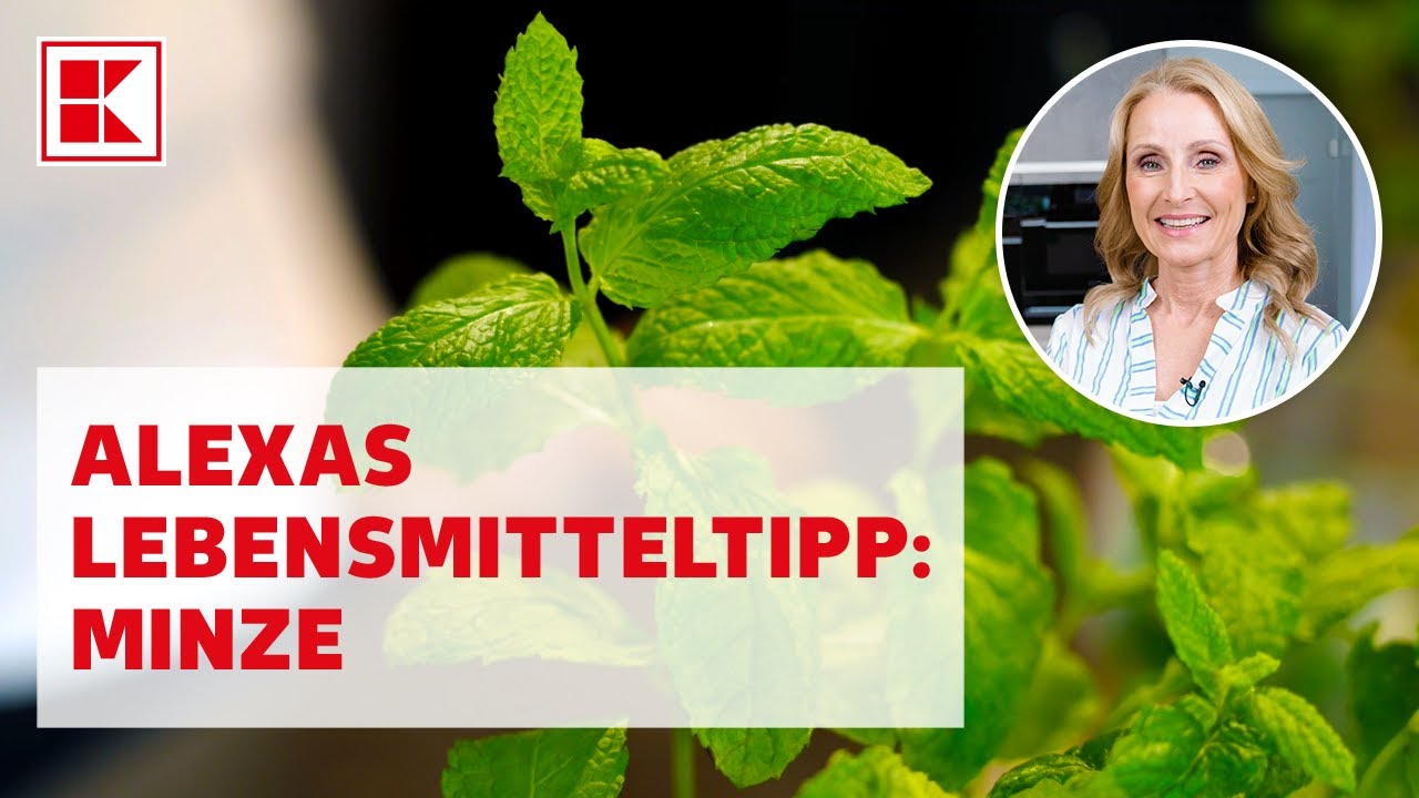 Alexas Lebensmitteltipp: Minze | Kaufland