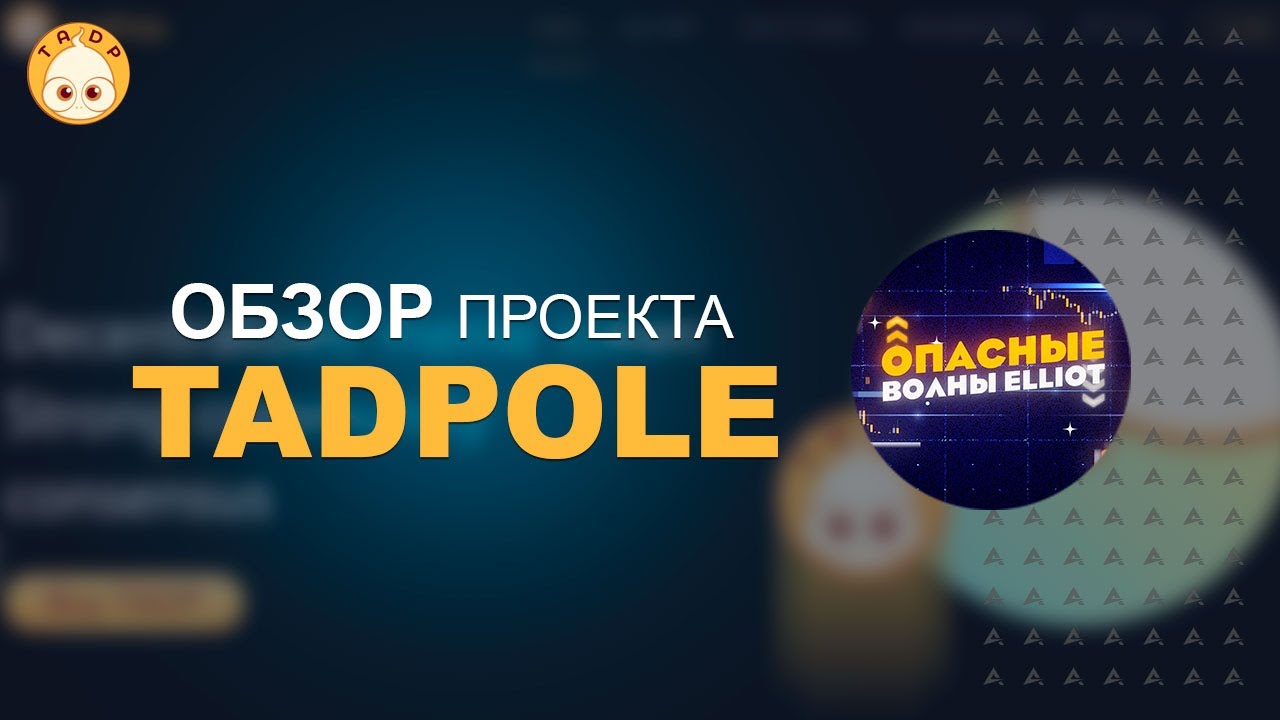 TadPole - Рискованный и Ооочень потенциально прибыльный проект по модели RFI. Токен TADP.