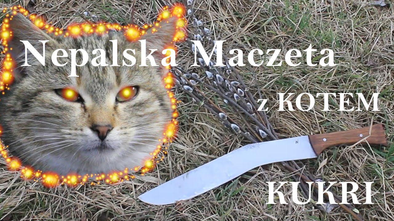 Jak wykuć Maczetę a la Kukri :: Kucie maczety z KOTEM :: Jak wykuć KUKRI ::