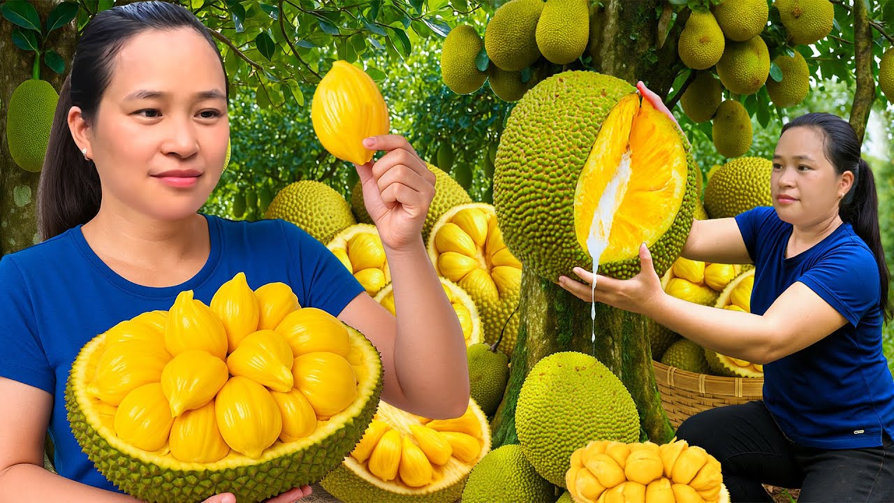 畑で巨大ジャックフルーツを収穫🌳市場へ販売＆庭の手入れ🍈🌿