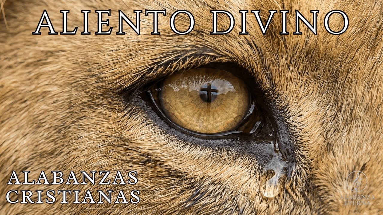 MÚSICA CRISTIANA PARA ORAR Y SENTIR LA PRESENCIA DE DIOS