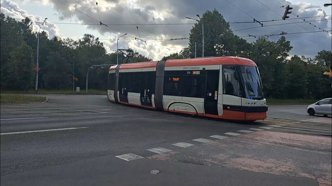 Tramwaje i Autobusy w Gdańsku 2025.
