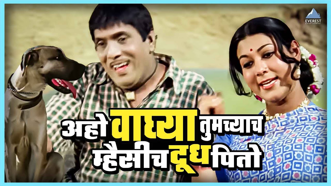 अहो वाघ्या हा तुमच्याच म्हैसीच दूध पितो | तुमचं आमचं जमलं Tumcha Aamcha Jamla | Dada Kondke Movie