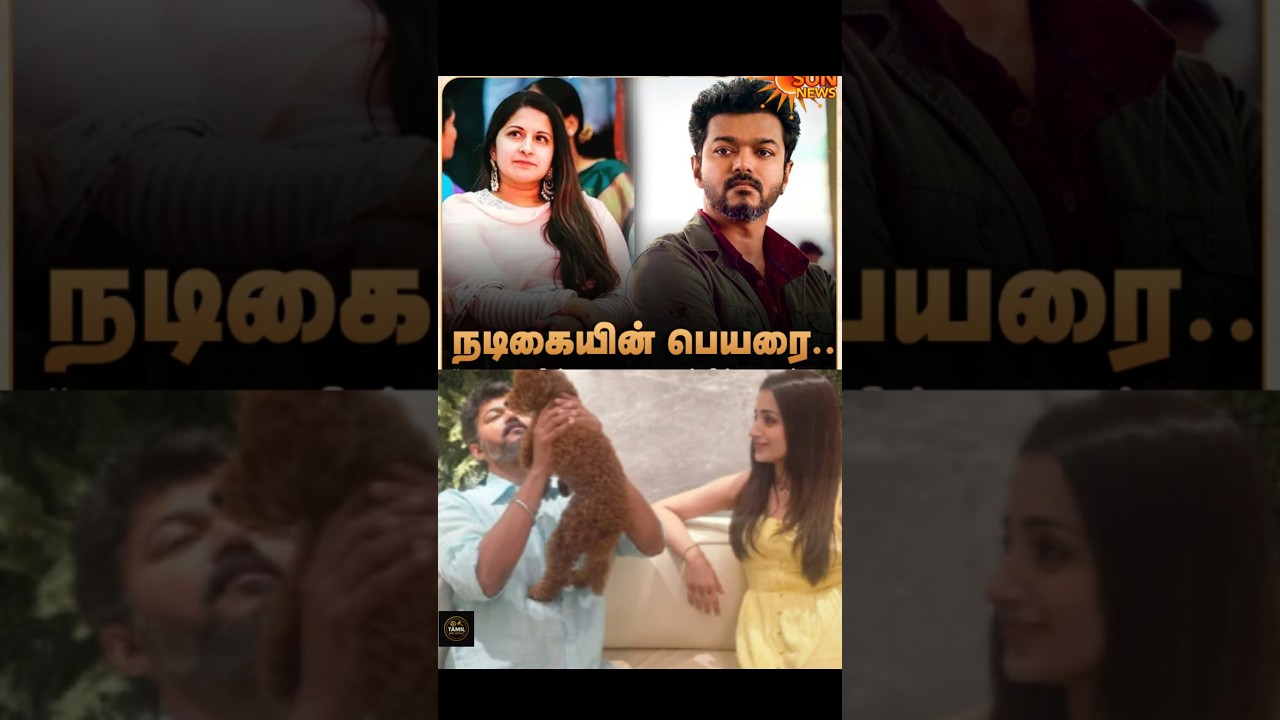 இருக்குற பிரச்சனைல இது தேவையா? #vijay #sageetha #trisha #divorce #tvk #tamilnadupolitics #courtcase