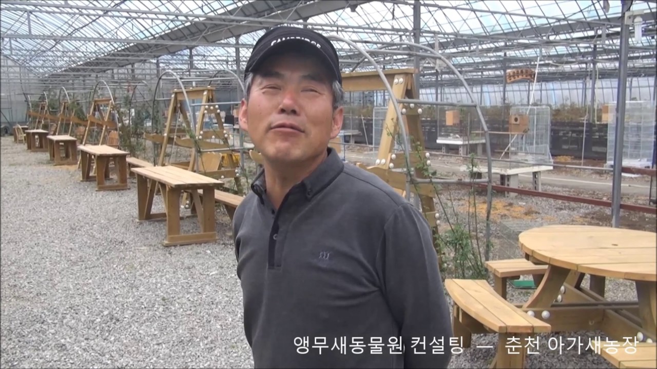 앵무새동물원 컨설팅 - 춘천 아가새농장