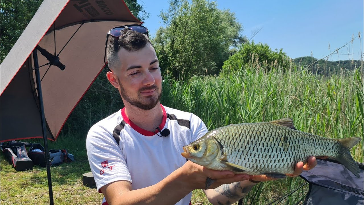 Passione FEEDER-Obiettivo? Scardole! 🐟