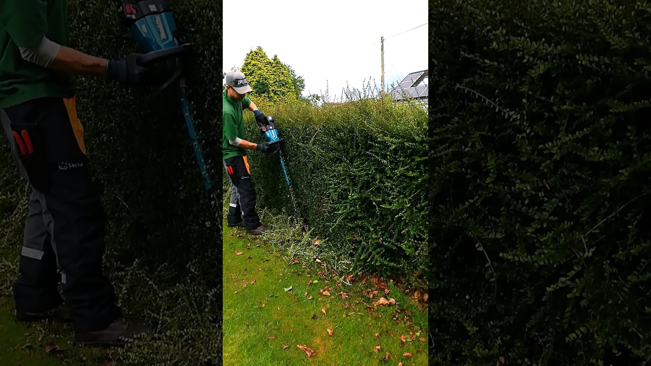 Makita DUH751Z Hedge Trimmer #shorts